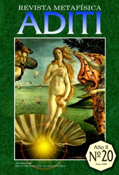 Revista ADITI 20