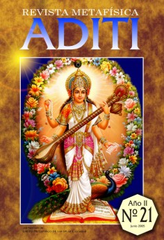 Revista ADITI 21