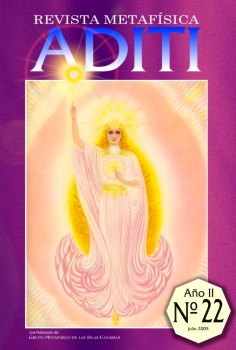 Revista ADITI 22