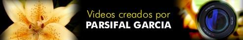 Videos creados por PARSIFAL GARCIA.